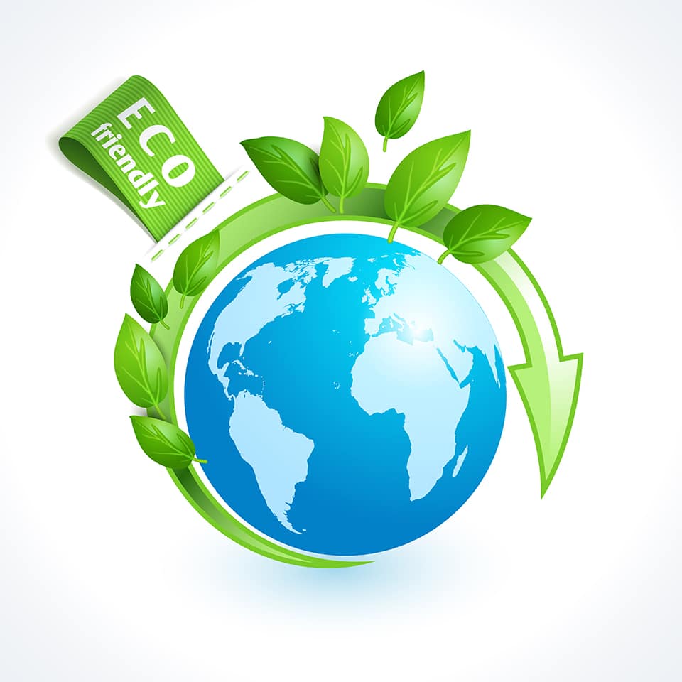 Eco Packaging Options